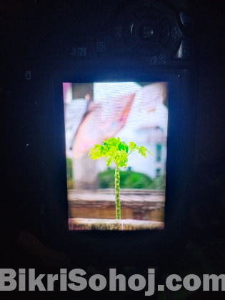 Canon Eos 600D Urgent Sell post